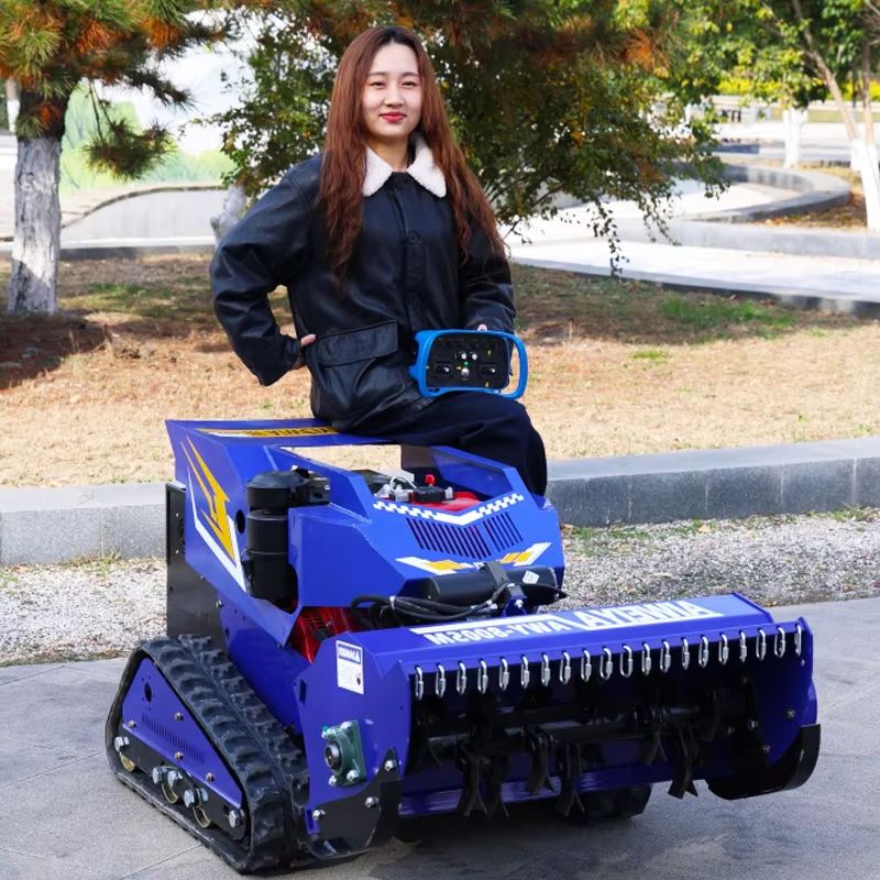 Smart Home Robot - تخصيص جودة عالية صفر بدوره الذكية