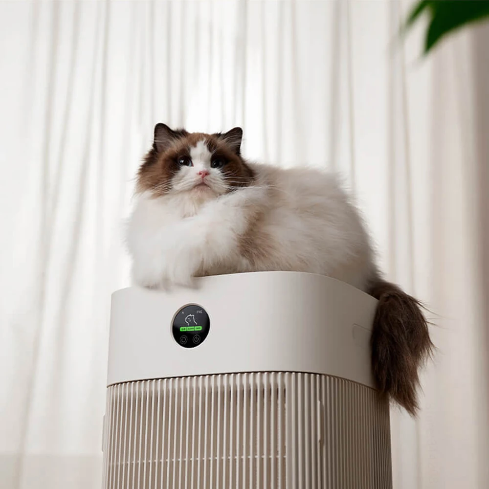شعر القطط يمتص بسرعة شعر الكلا - مراجعة Smart Air Purifier وسعره