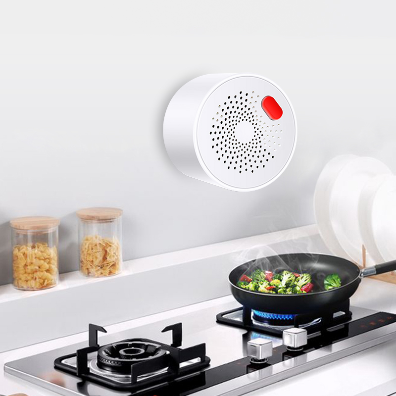 Tuya المنزل الذكي واي فاي الغا - مراجعة Smart Home Outdoor وسعره
